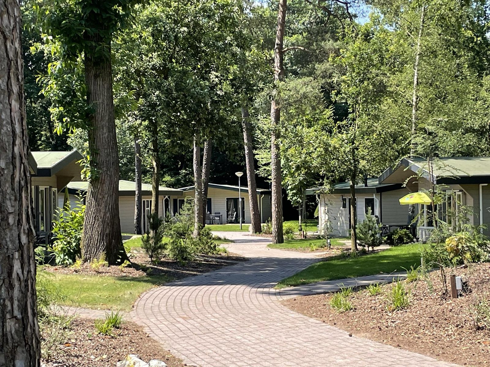 Bungalowchalet+ | 4 personen