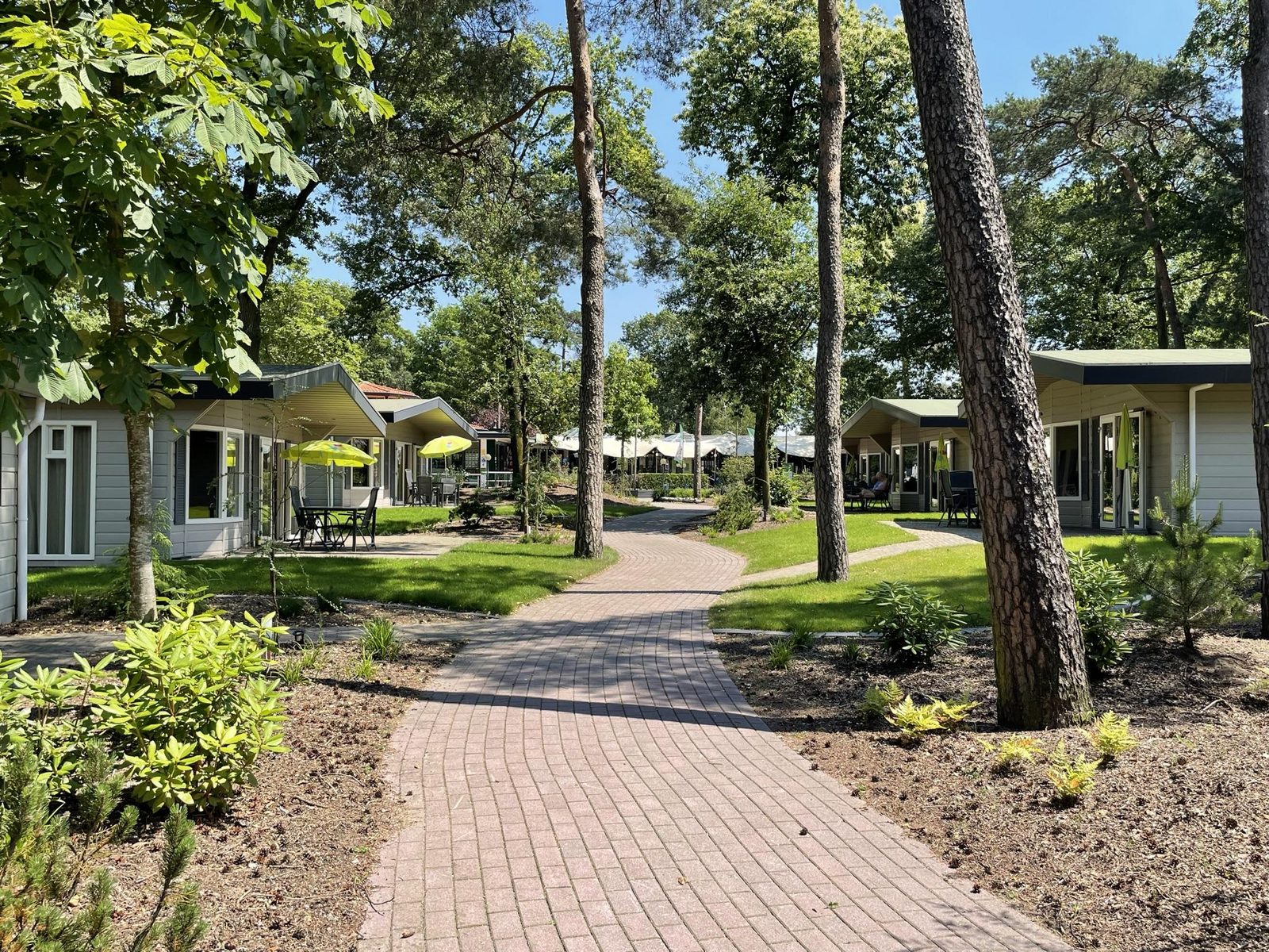 Bungalowchalet+ | 4 personen