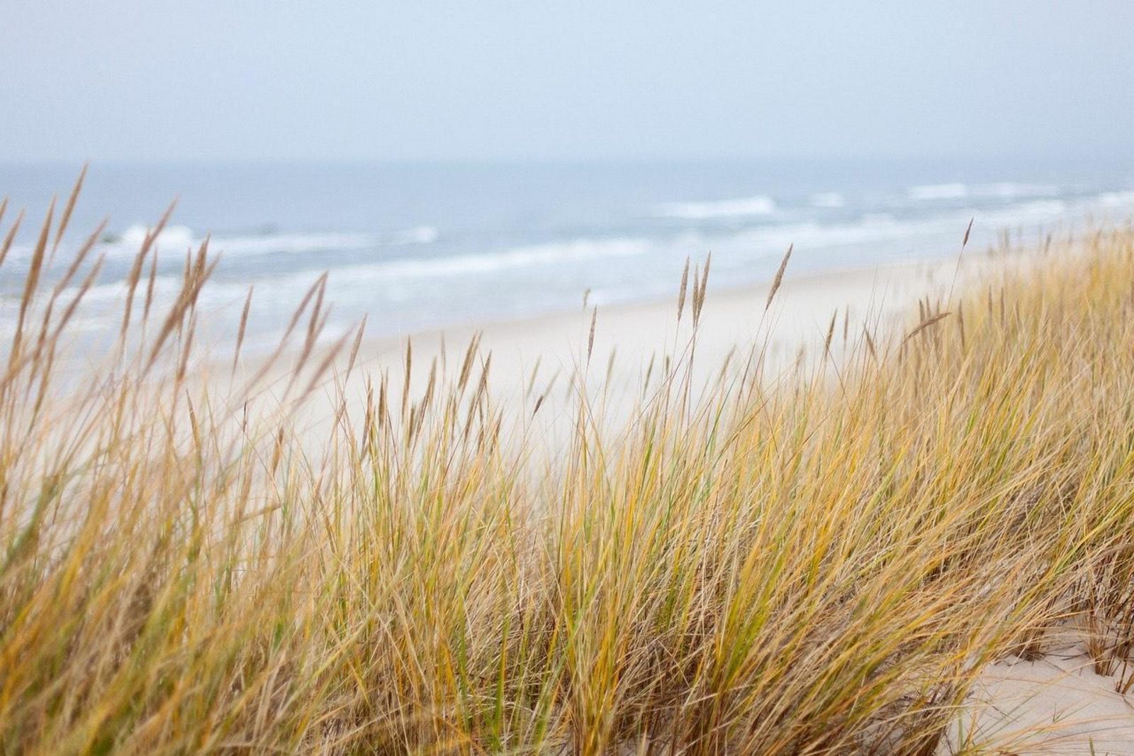 Holidayhome - Paulusweg 24 | Zoutelande 't Kusthuys'