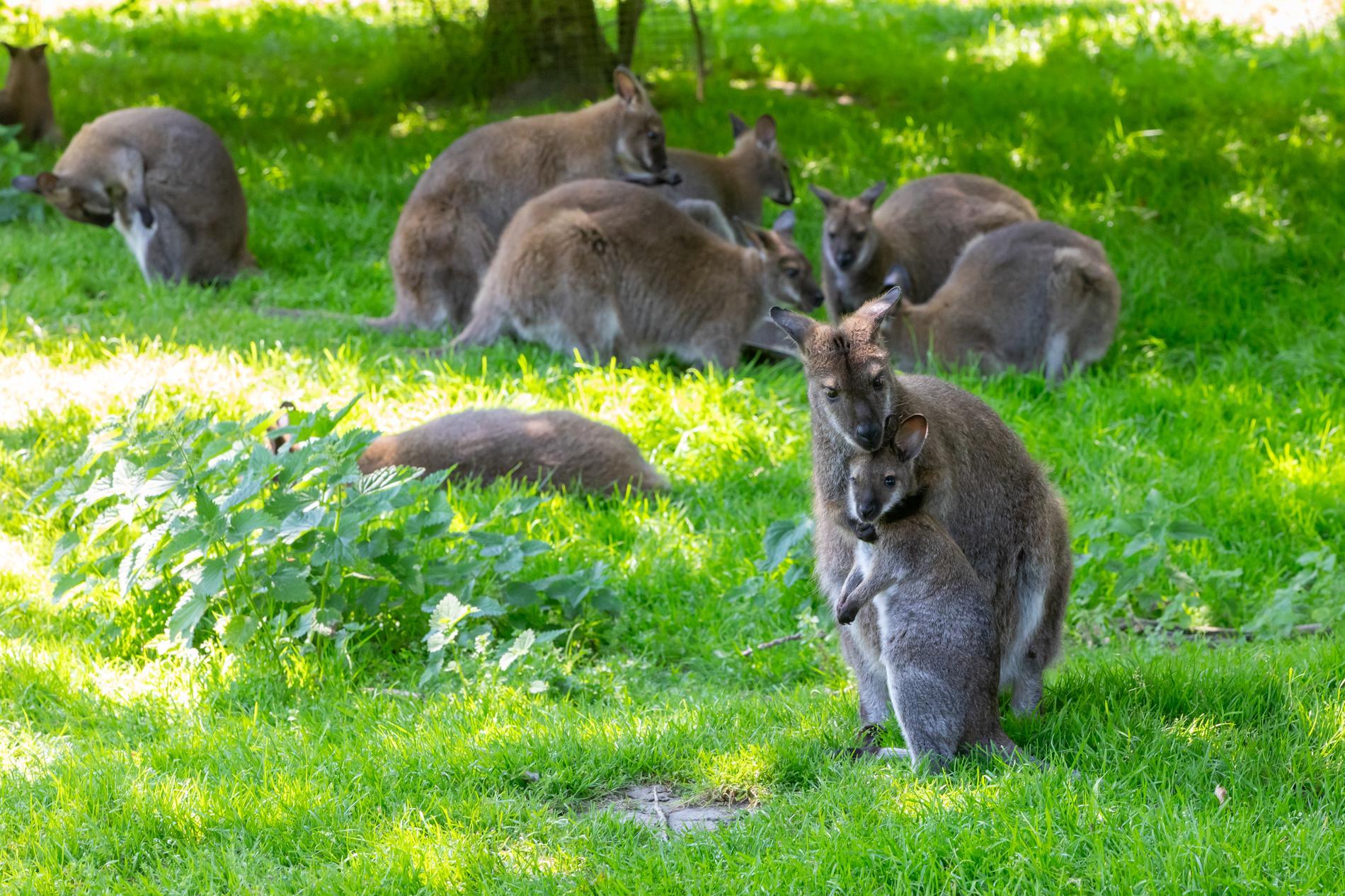 apartment-kon-emmaweg-6-vrouwenpolder