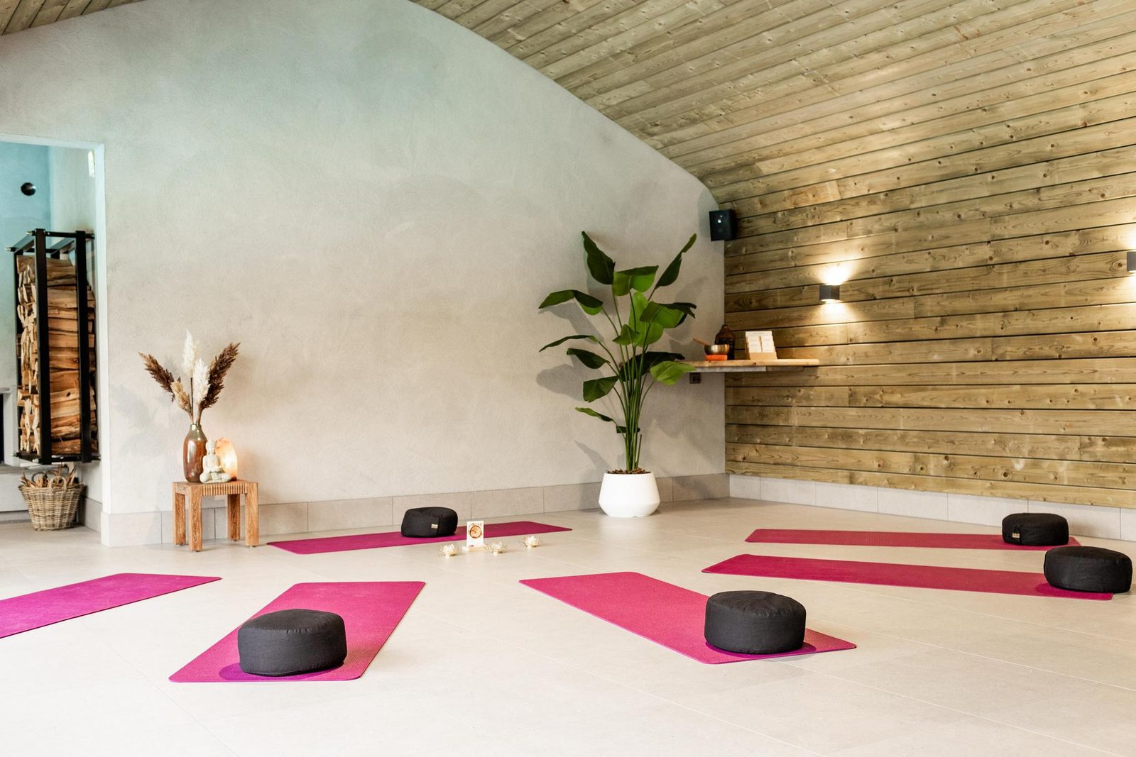 Wellness Lodge XXL 6 personen