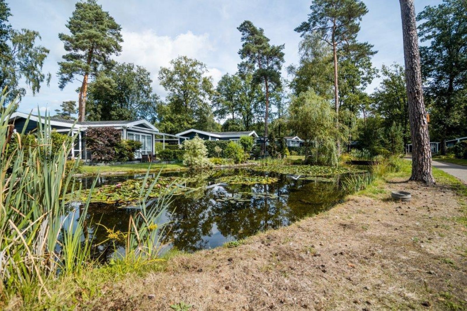 Nature Chalet - 4 people