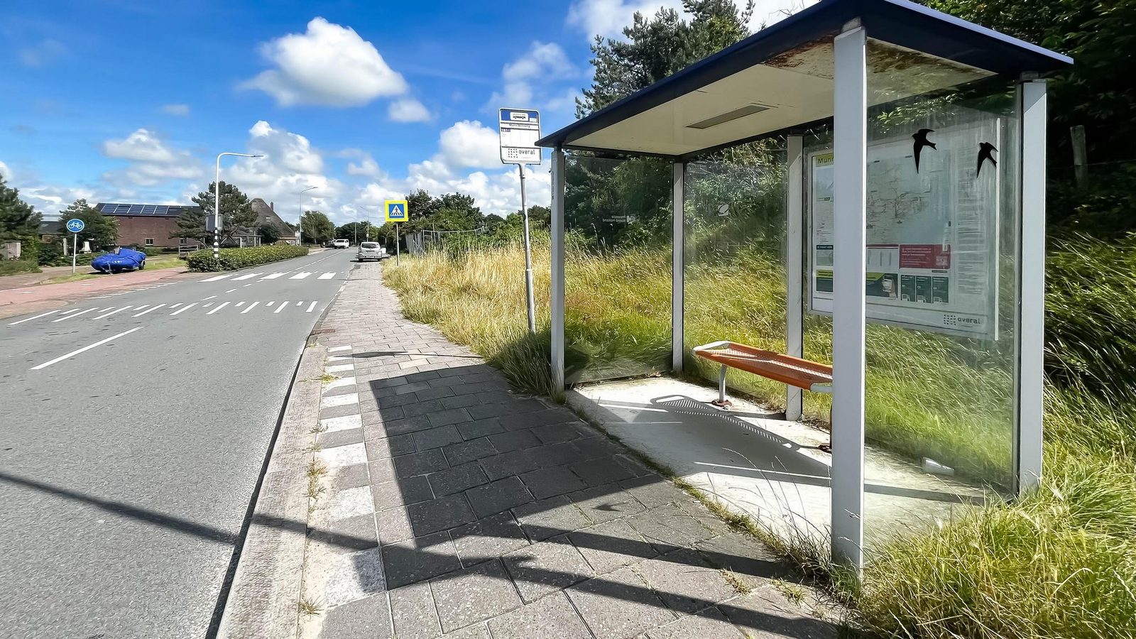 Duinzicht