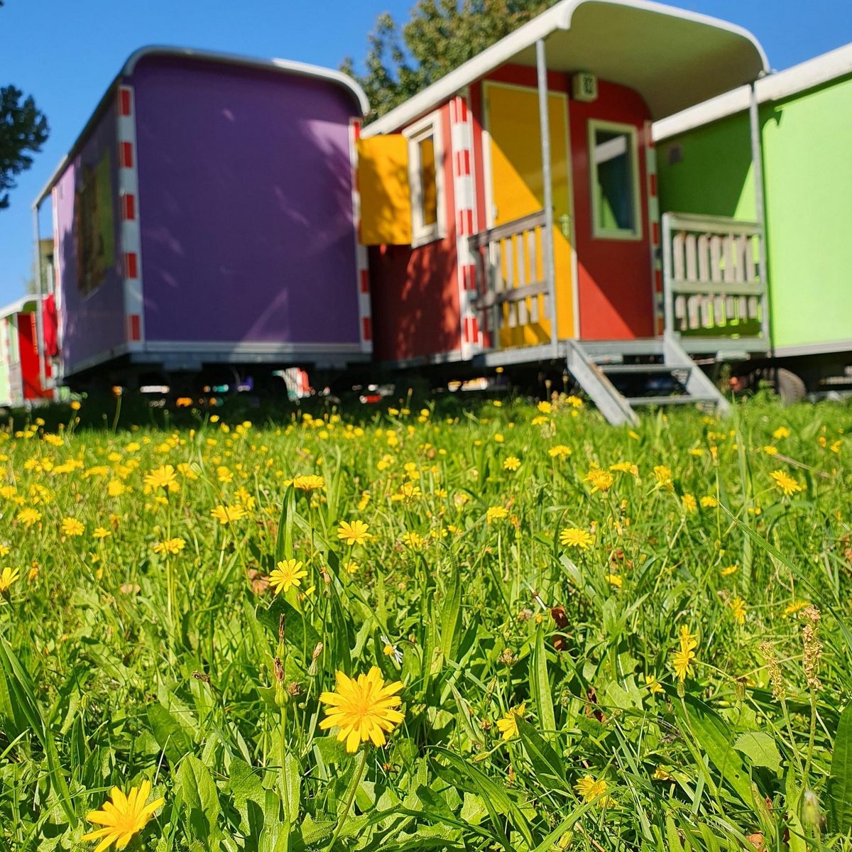 2-person Wagonette