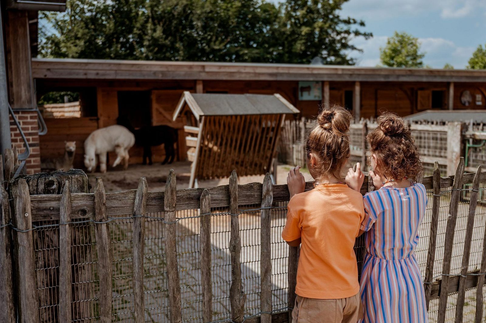 Familienstellplatz XL 