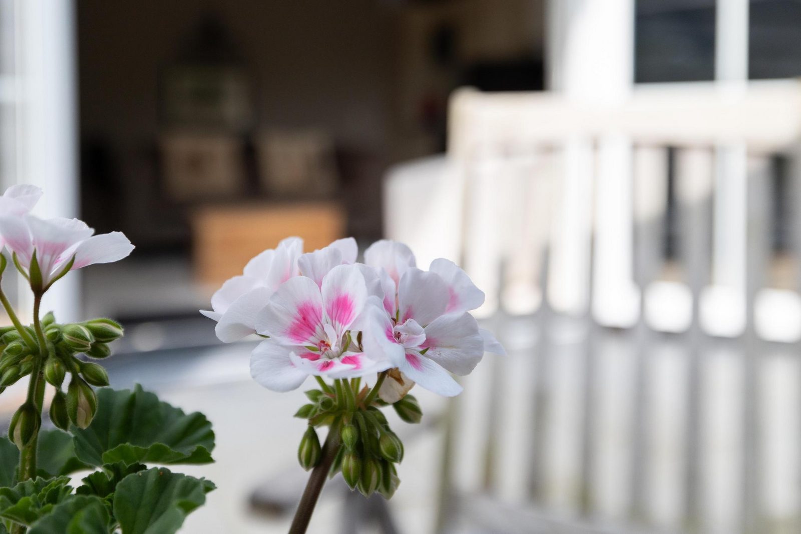 Holidayhome - Sloestraat 38 | Zoutelande 'Het Koetshuys'