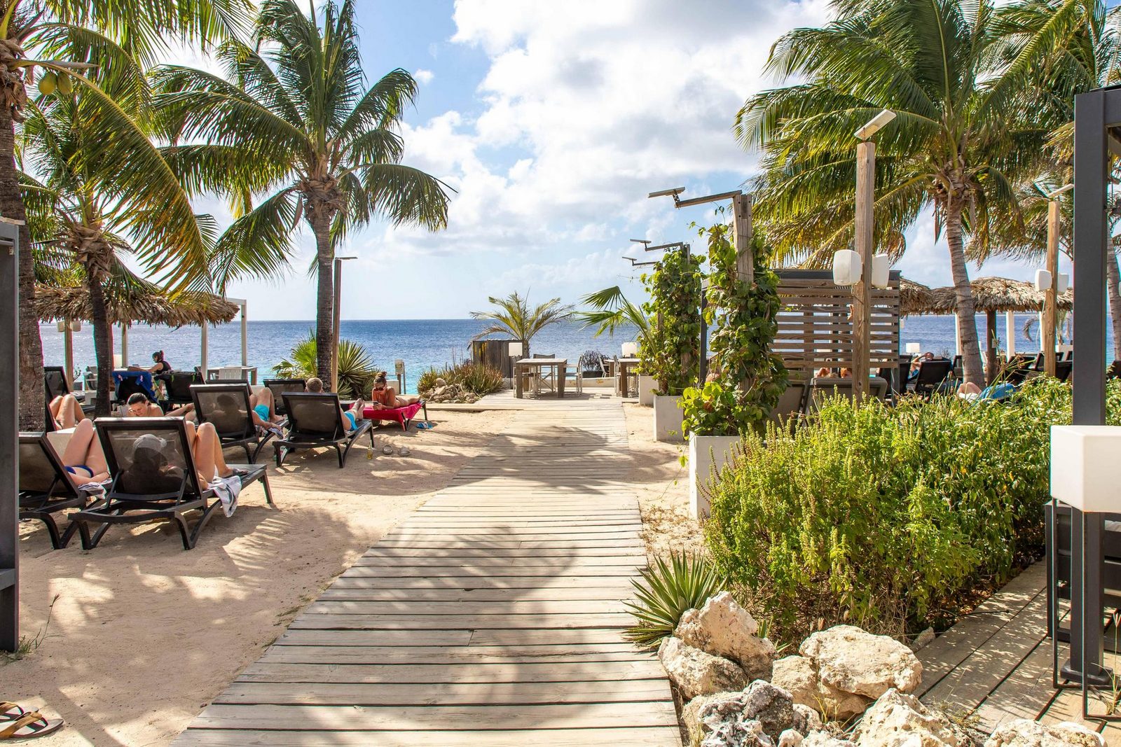 Windsock Caribbean Dream