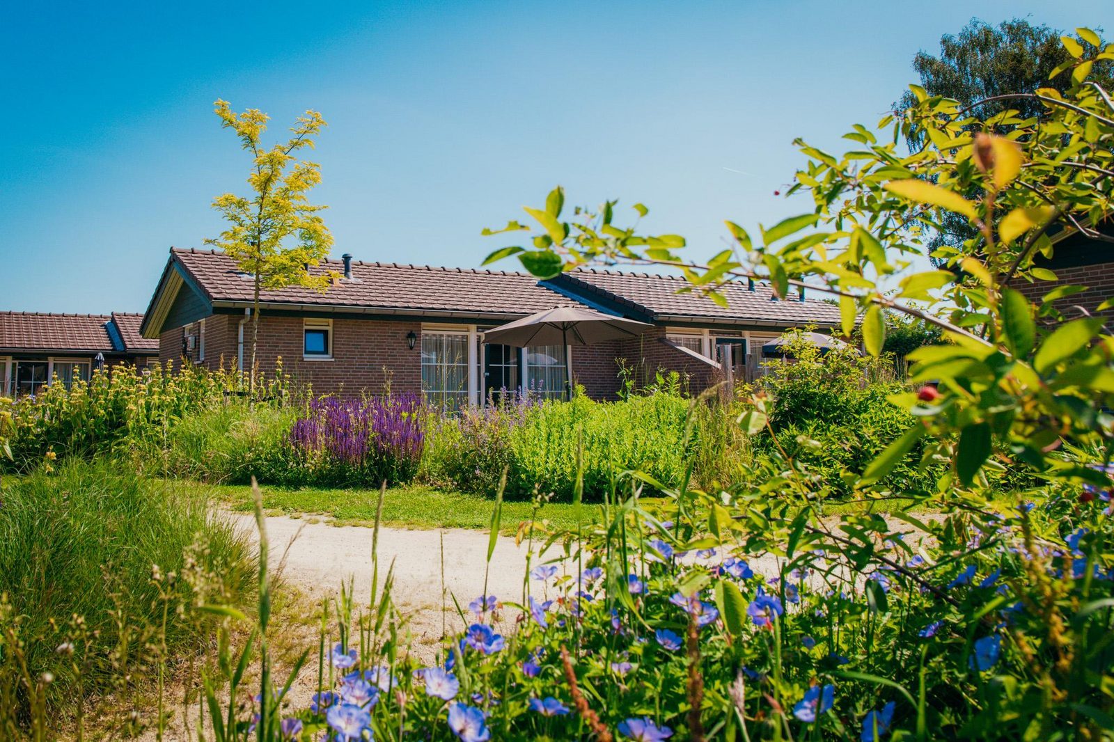 4-person bungalow Heuveltjes