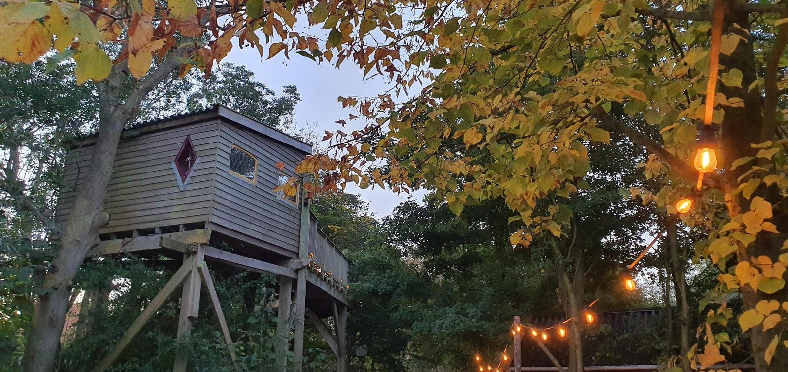 Boomhut Uilenspiegel