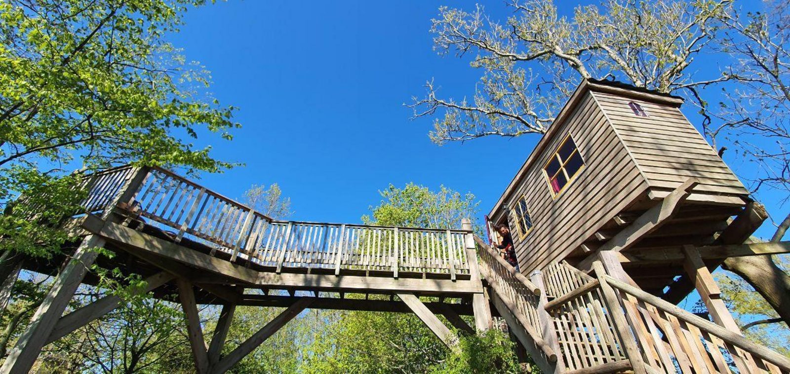 Boomhut Uilenspiegel