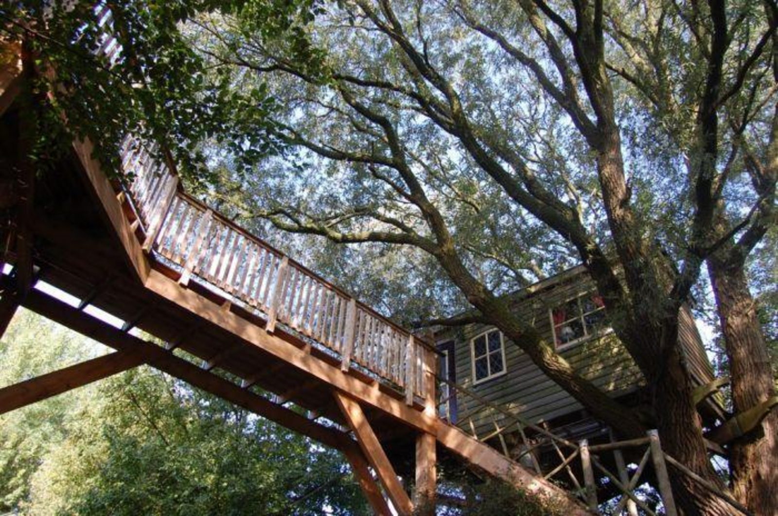 Boomhut Uilenspiegel