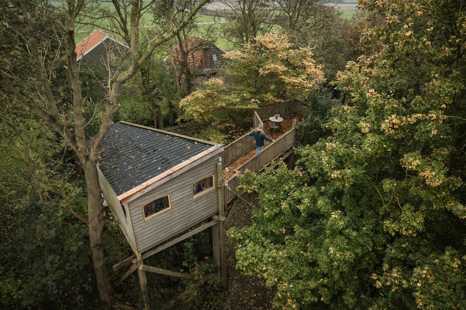 Boomhut Uilenspiegel