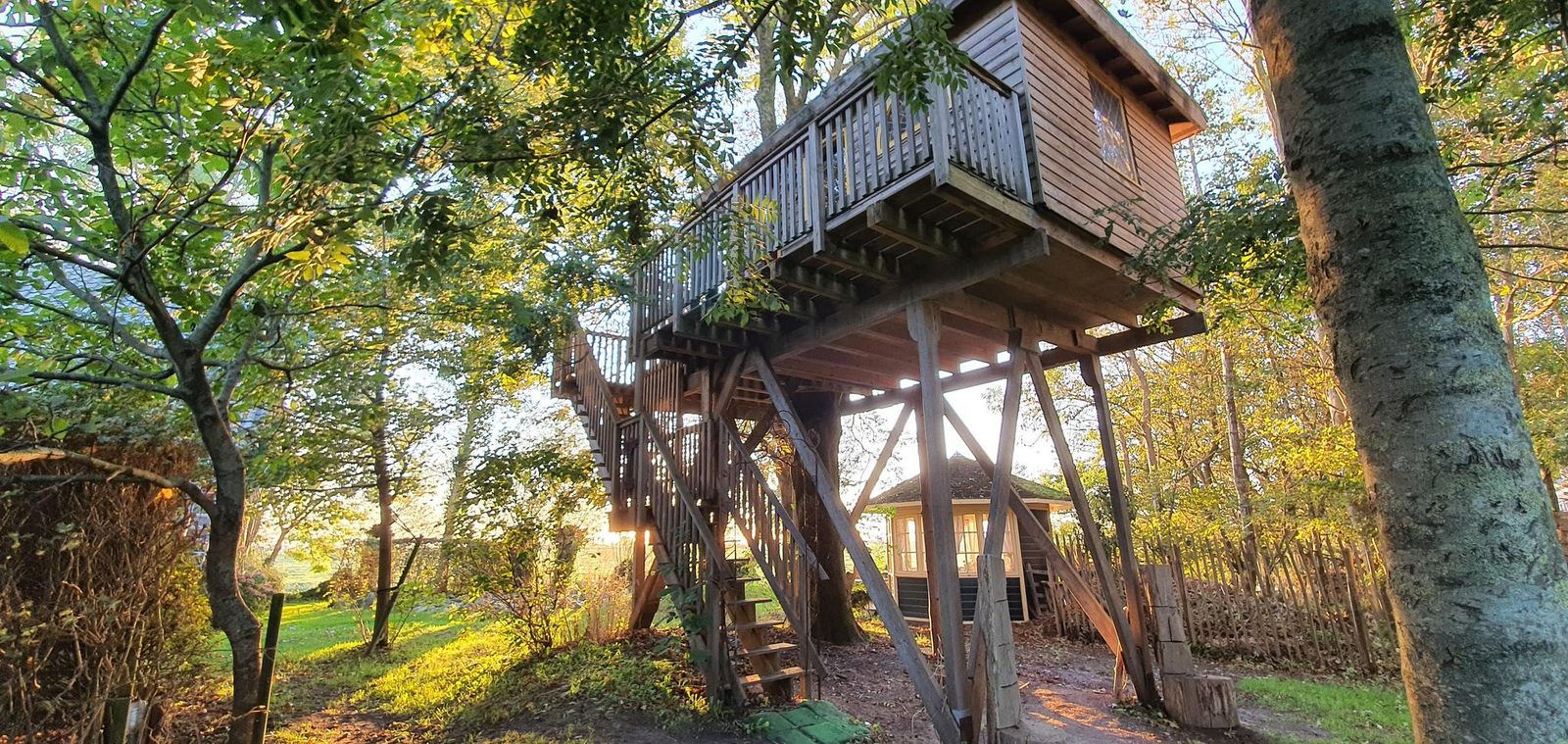 Boomhut Kraaiennest