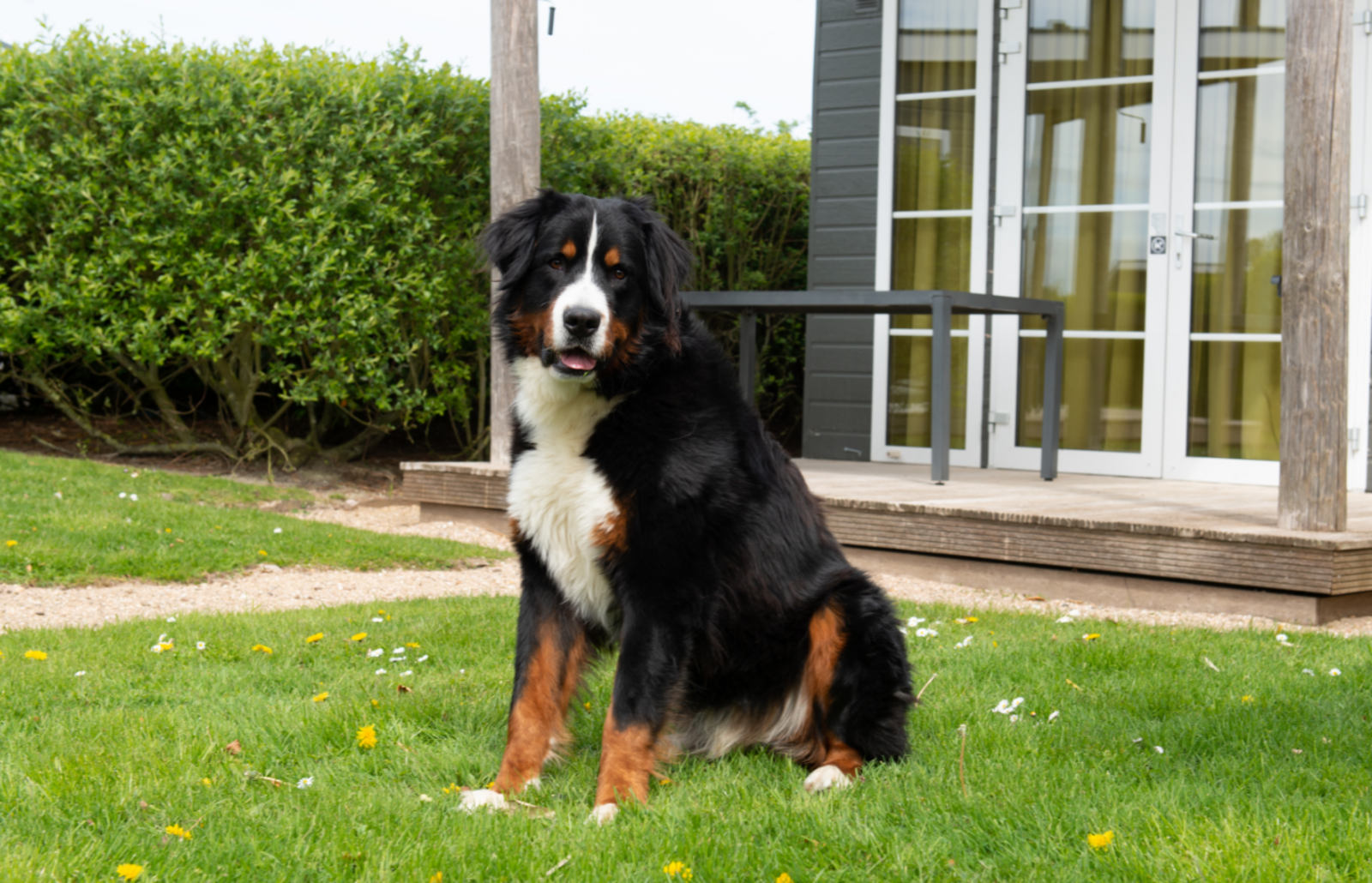 Comfort Lodge | 2 personnes (27 m²) - Chiens admis