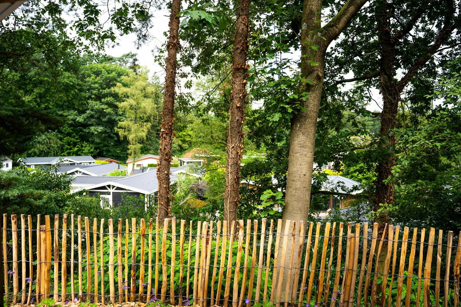 Eco Cottage met hottub | 4 personen