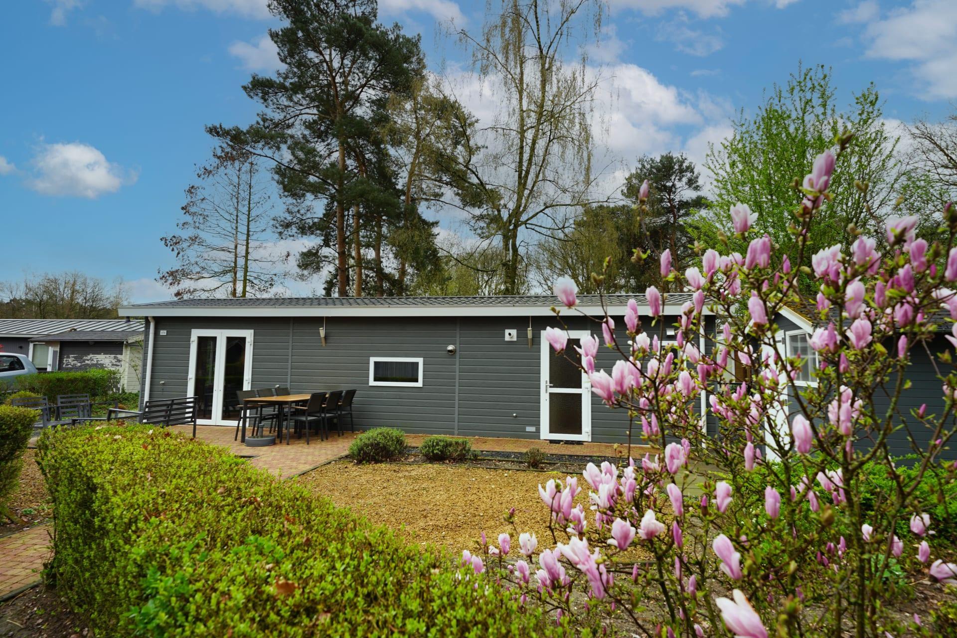 Unterkünfte Maasduinen - Chalet - Unique 6 - 10