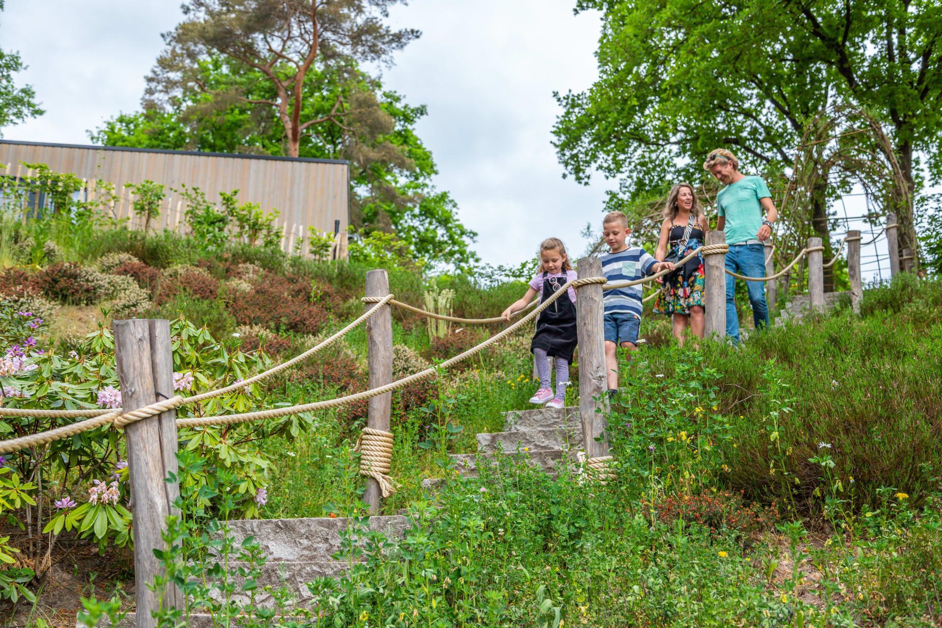 Unterkünfte Maasduinen - Chalet - Unique 6 - 11