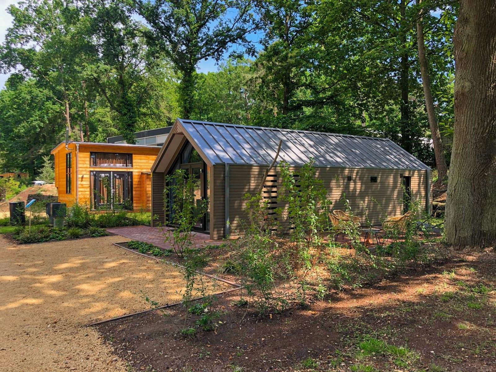 Forest Lodge 4