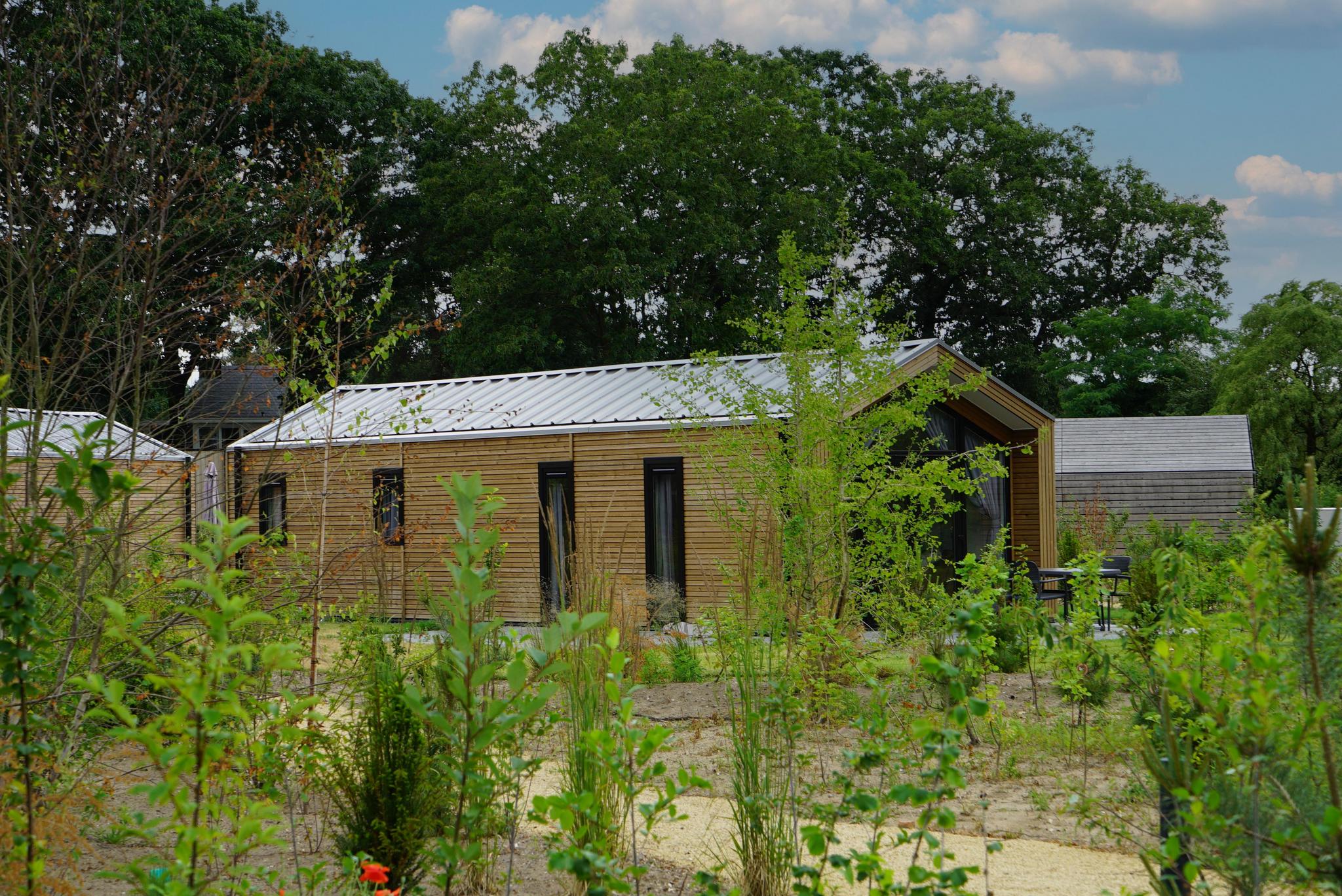 Accommodatie De Zanding - Chalet - Forest Lodge 4 - 11