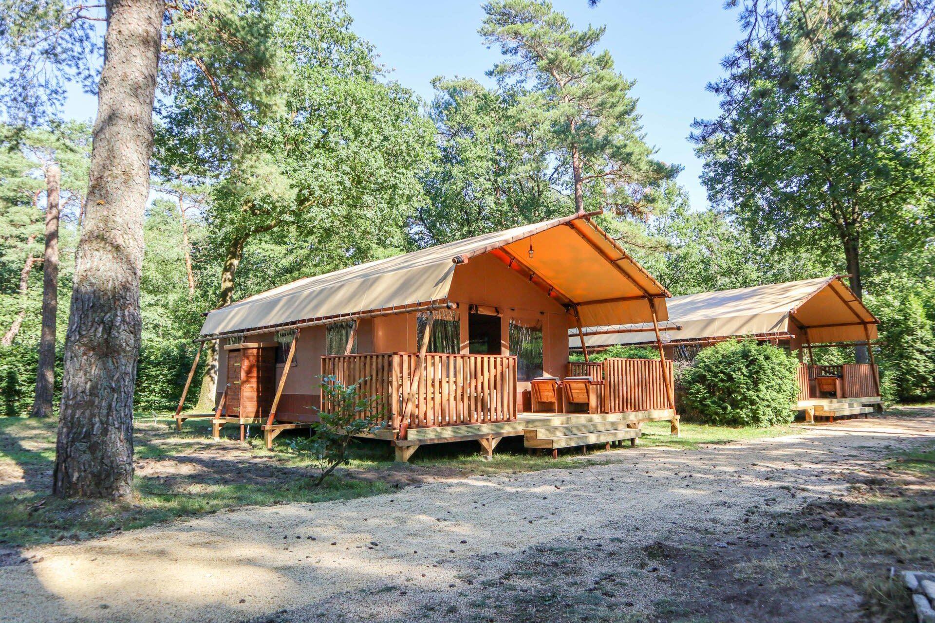 Accommodatie De Zanding - Glampingtent - Lodgetent 4 - 15