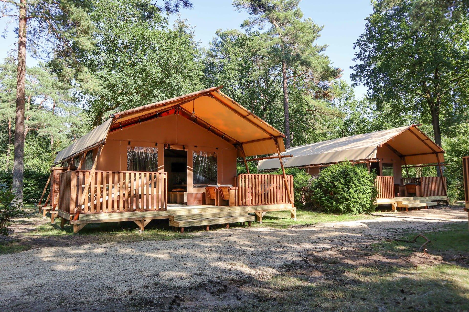 Accommodatie De Zanding - Glampingtent - Lodgetent 5 - 1