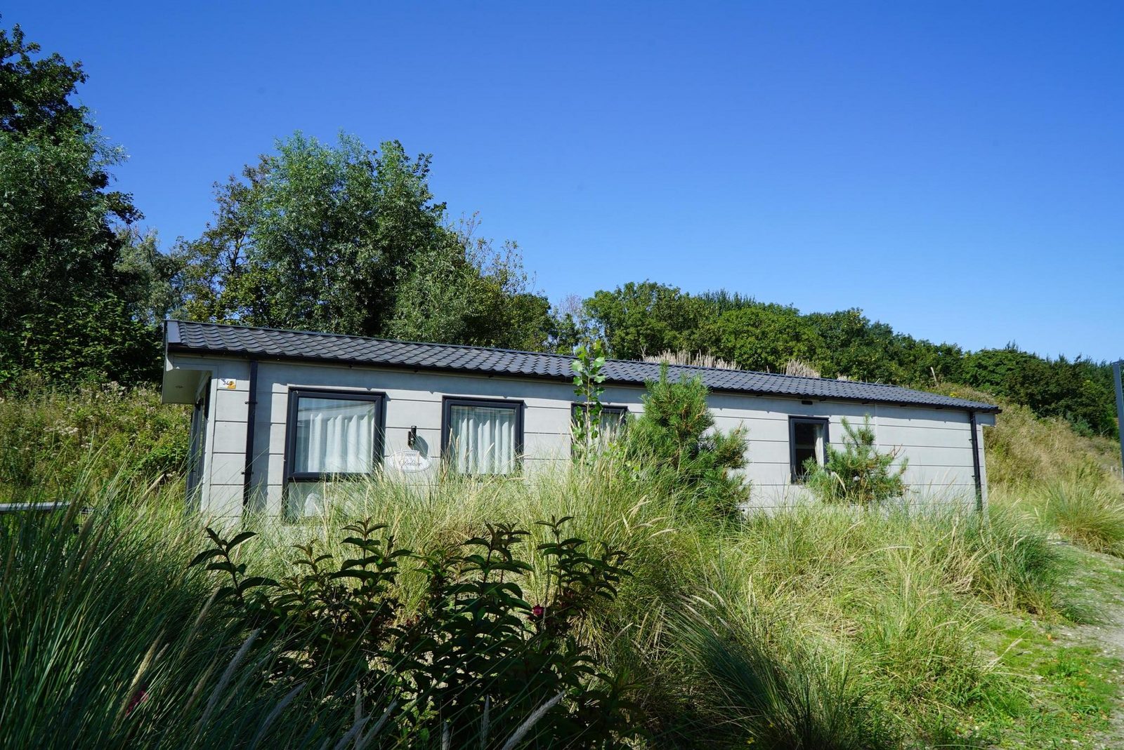 Velthorst 6