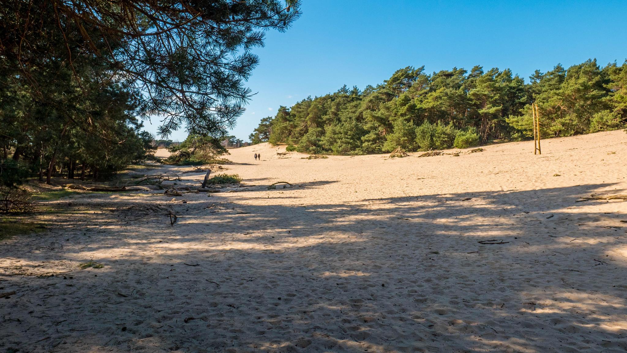 Accommodatie De Zanding - Kampeerplaats - Kampeerplaats Comfort - 12