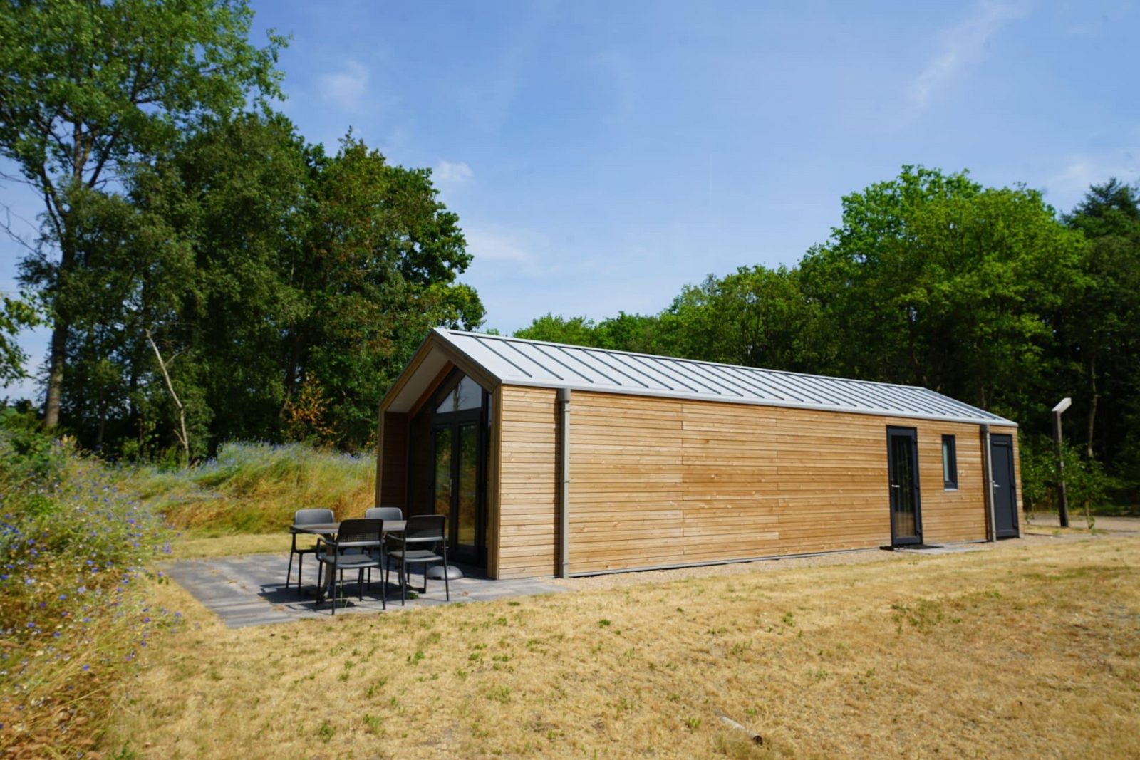 Forest Lodge 4