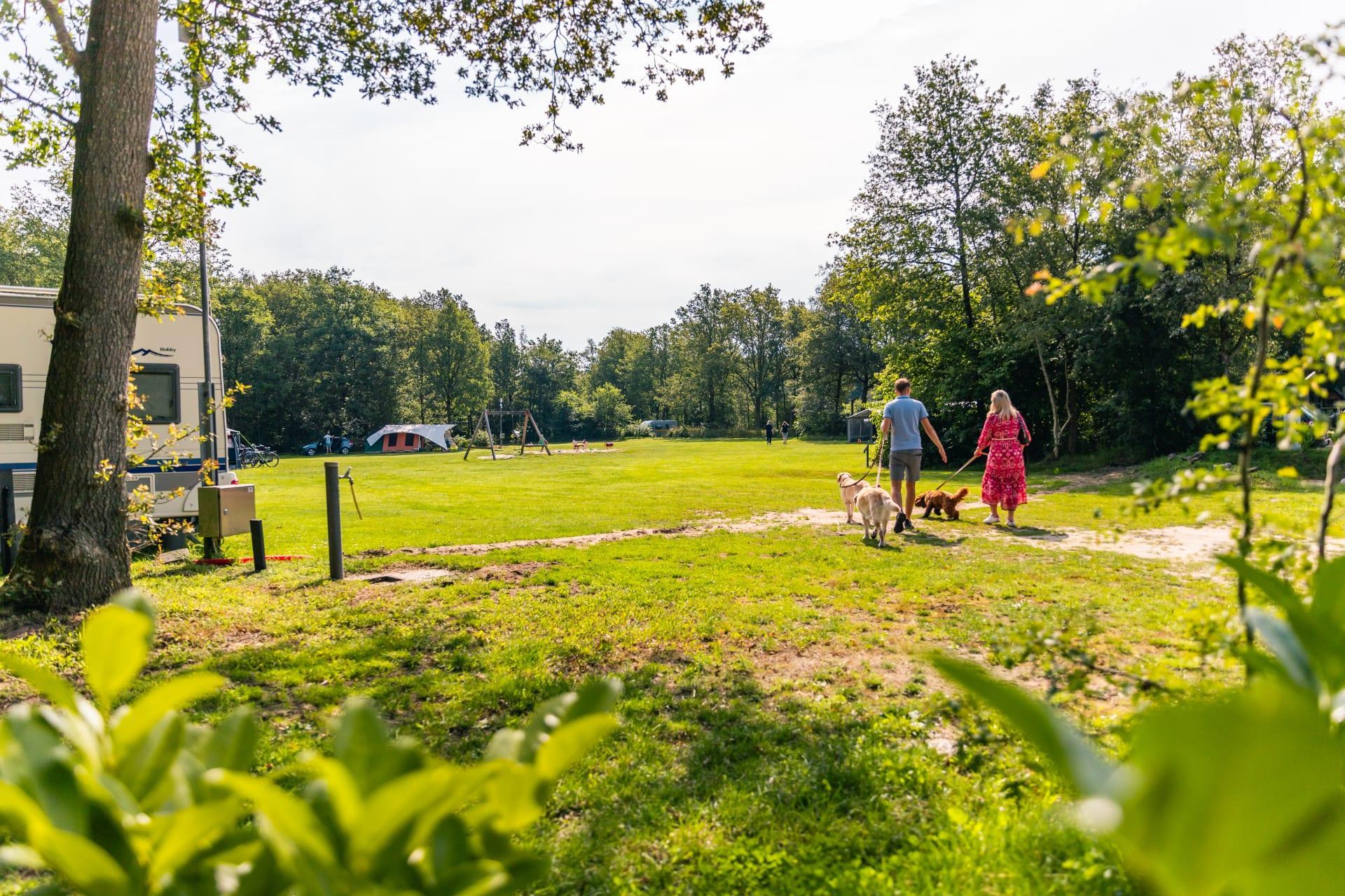 Accommodatie Ruinen - Kampeerplaats - Kampeerplaats Comfort - 10