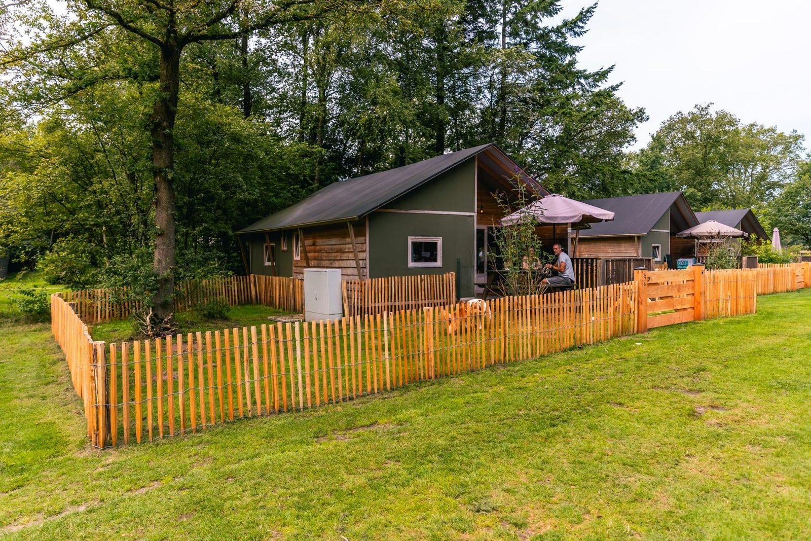 Dog Lodge 6