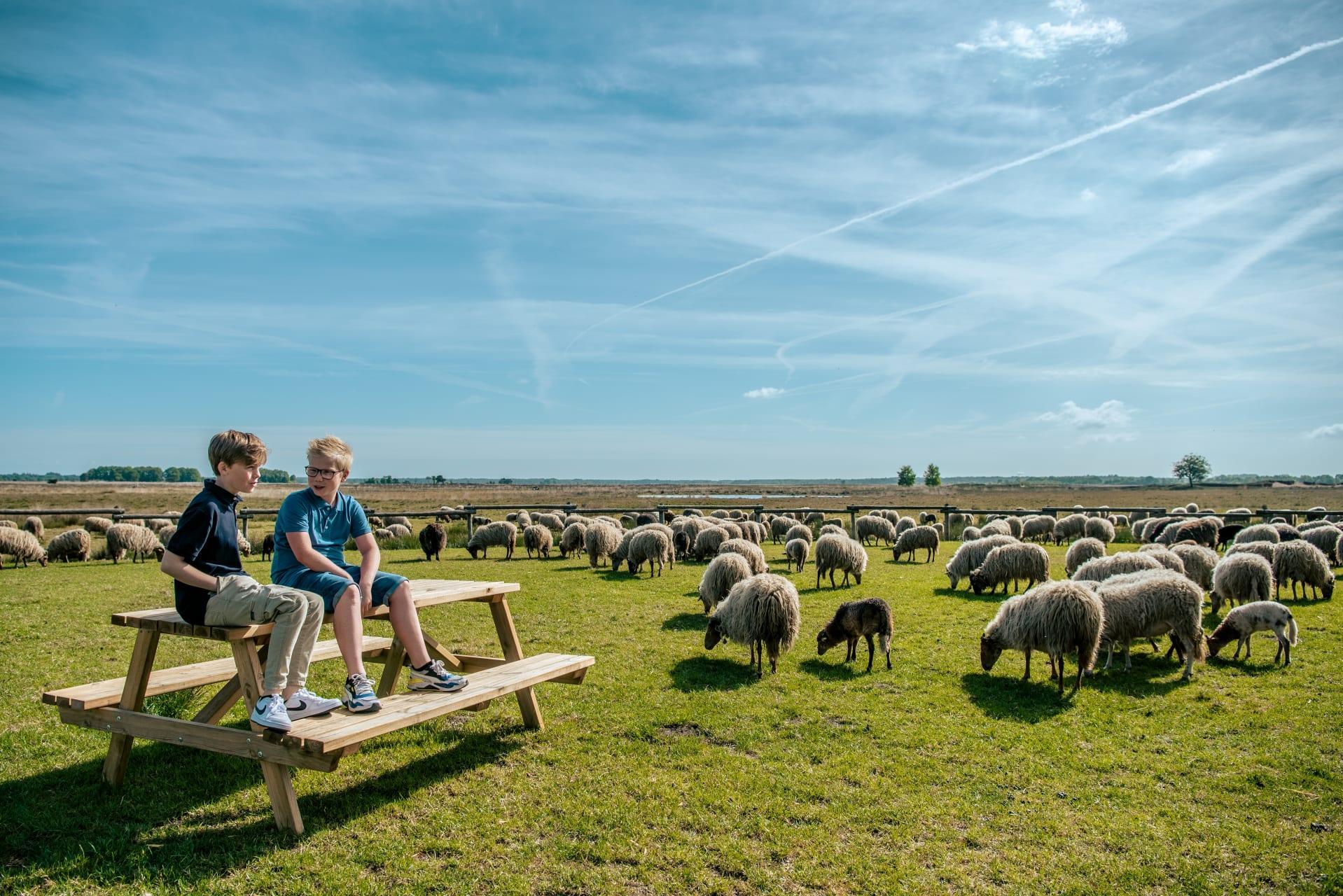 Unterkünfte Ruinen - Glamping-Zelt - Glamping family lodge 10 - 13