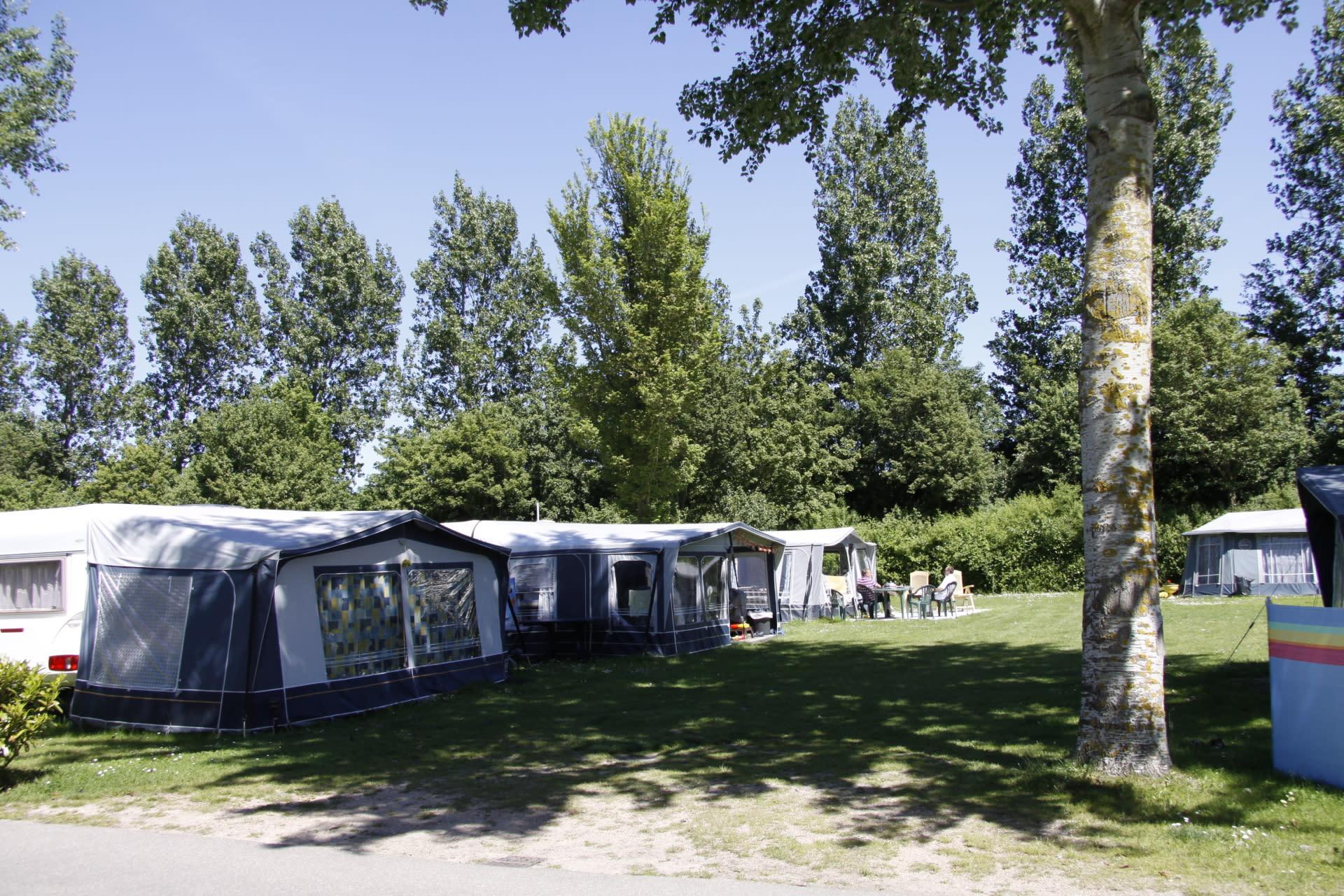 Accommodatie Molengroet - Loge - Groepsveld Camping - 2