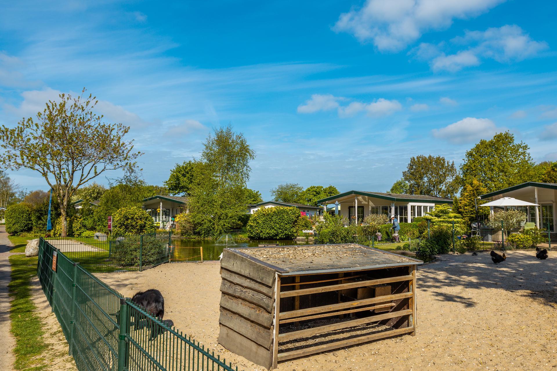 Accommodatie Molengroet - Loge - Groepsveld Camping - 8