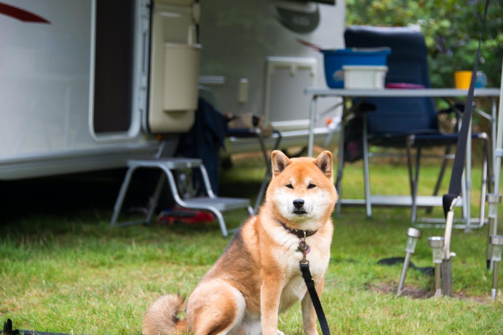Camperplaats comfort