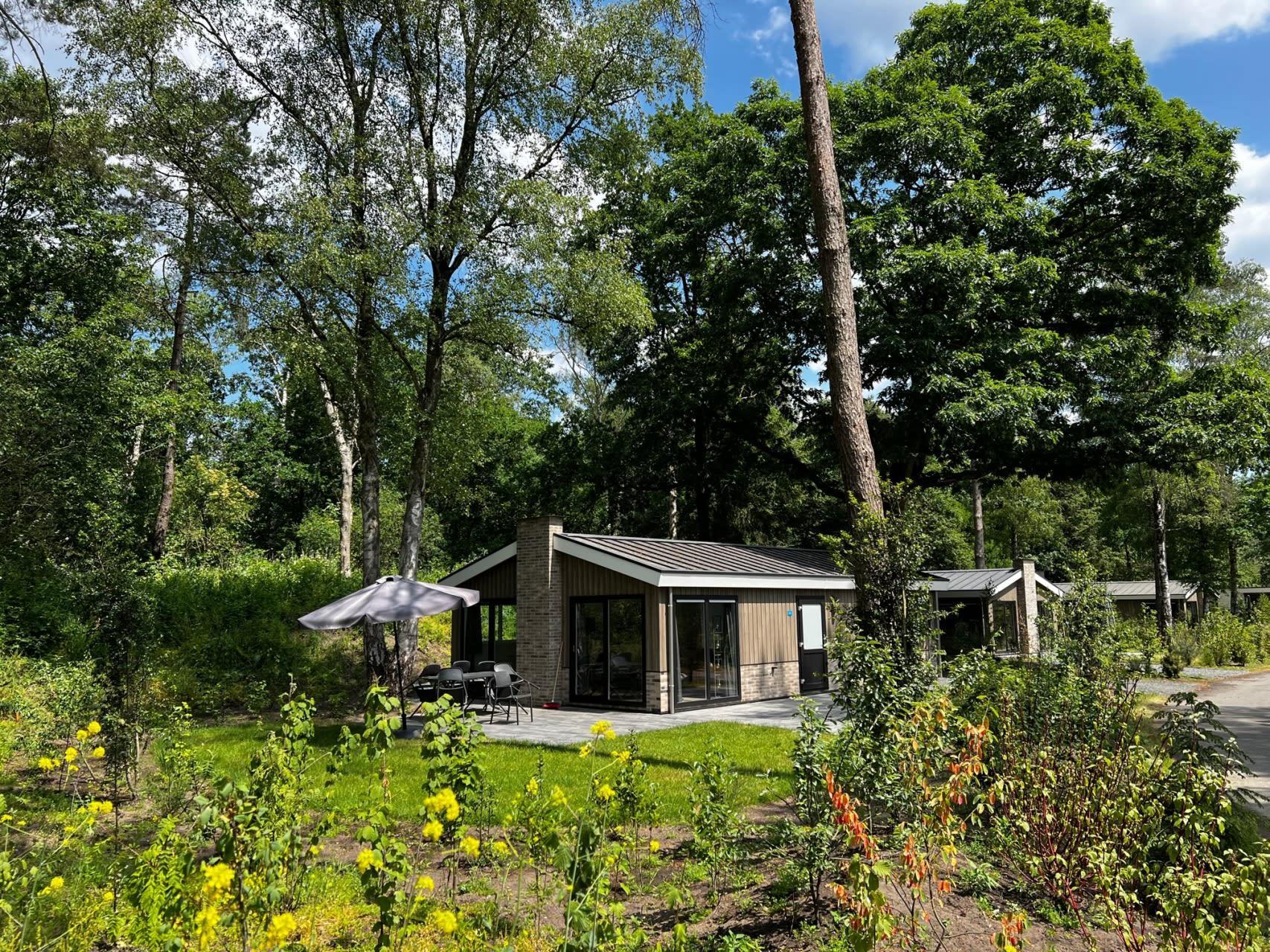 Accommodatie De Hooge Veluwe - Chalet - Hackfort 6 - 18