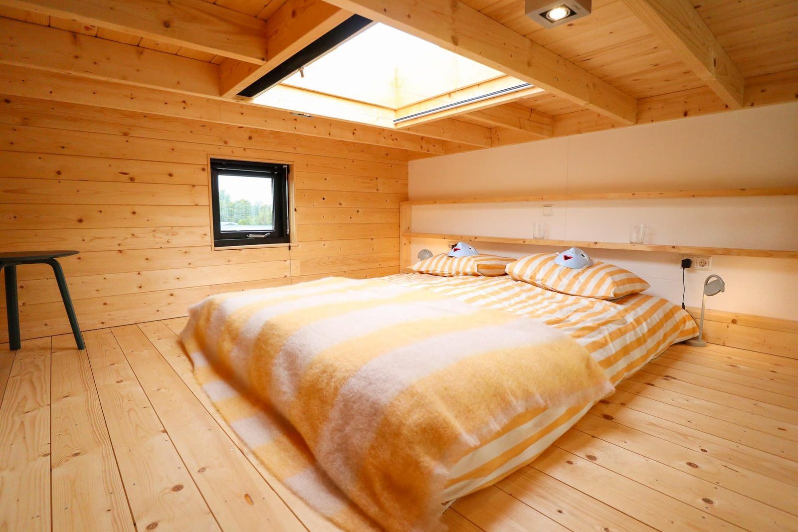 Tiny House 2