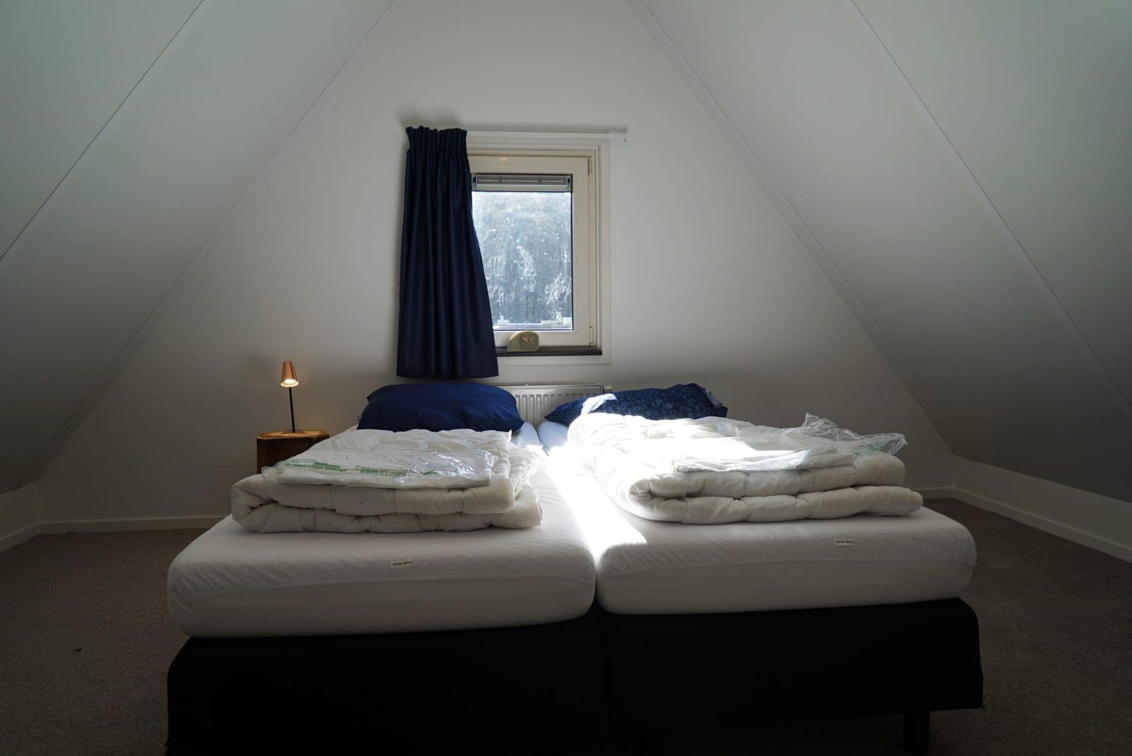 Villa Veluwe Plus 8