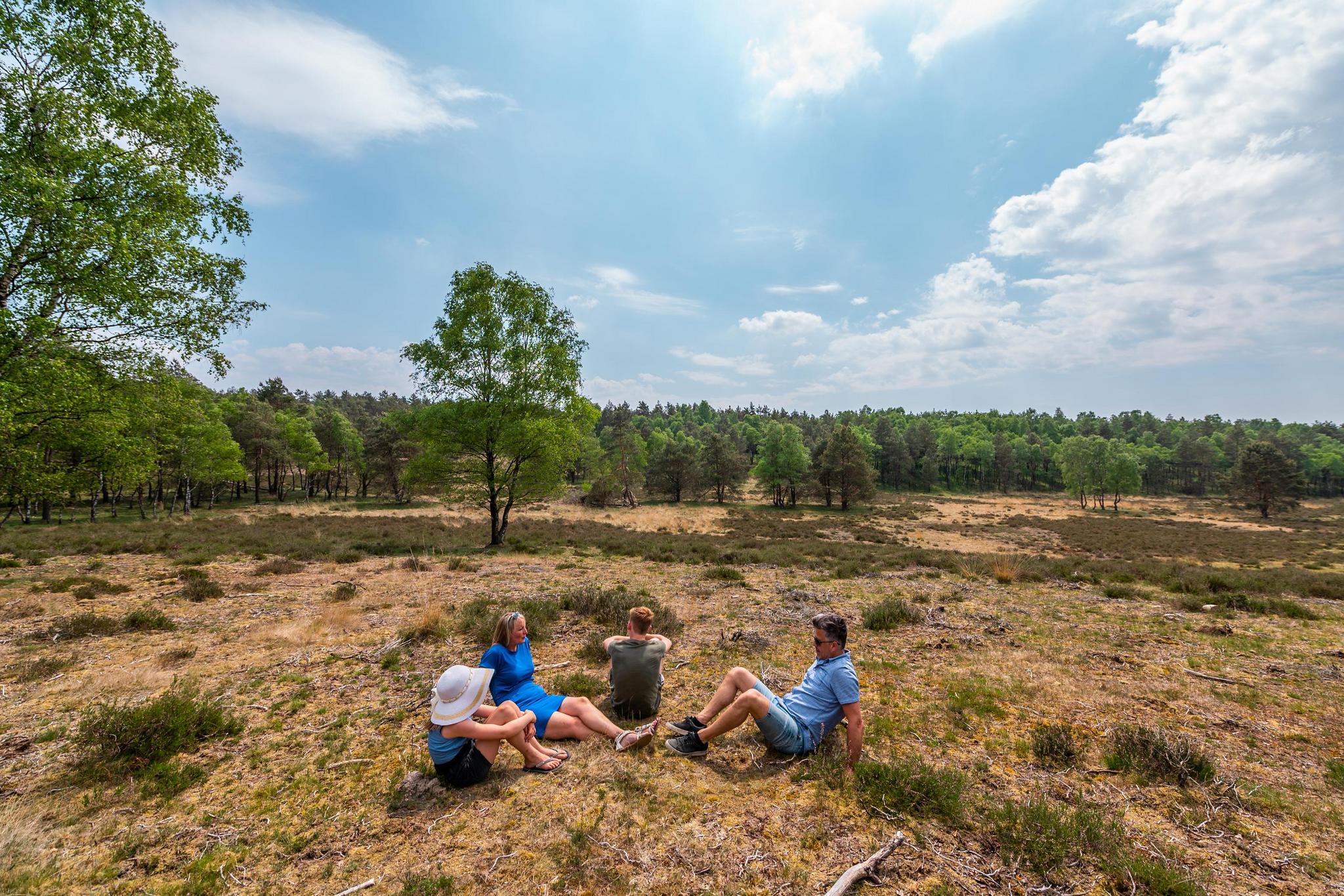 Accommodation De Hooge Veluwe - Chalet - Cube Split 6 - 15