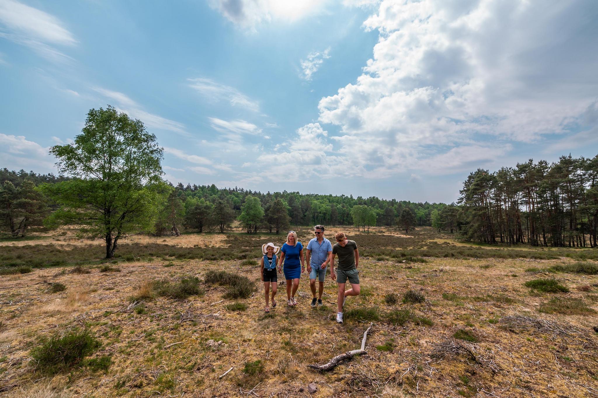 Accommodatie De Hooge Veluwe - Chalet - L-Cube 4 - 10