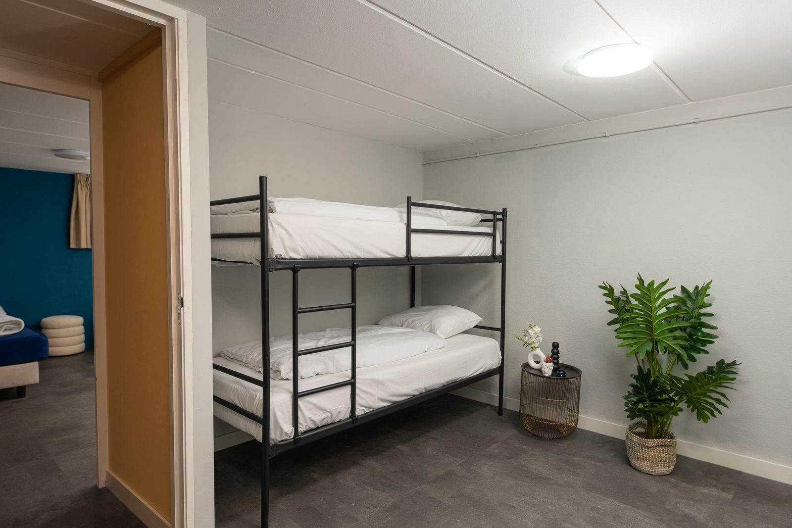 Groepsvilla | 12 personen