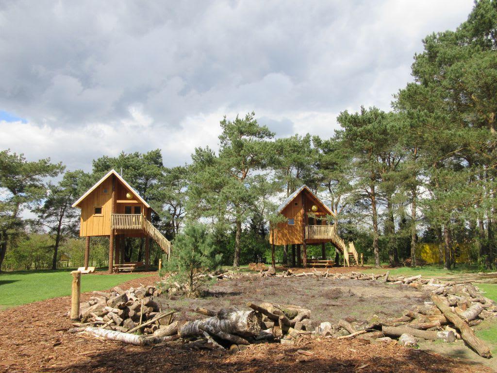 Zwerfhut op hoogte 5 3