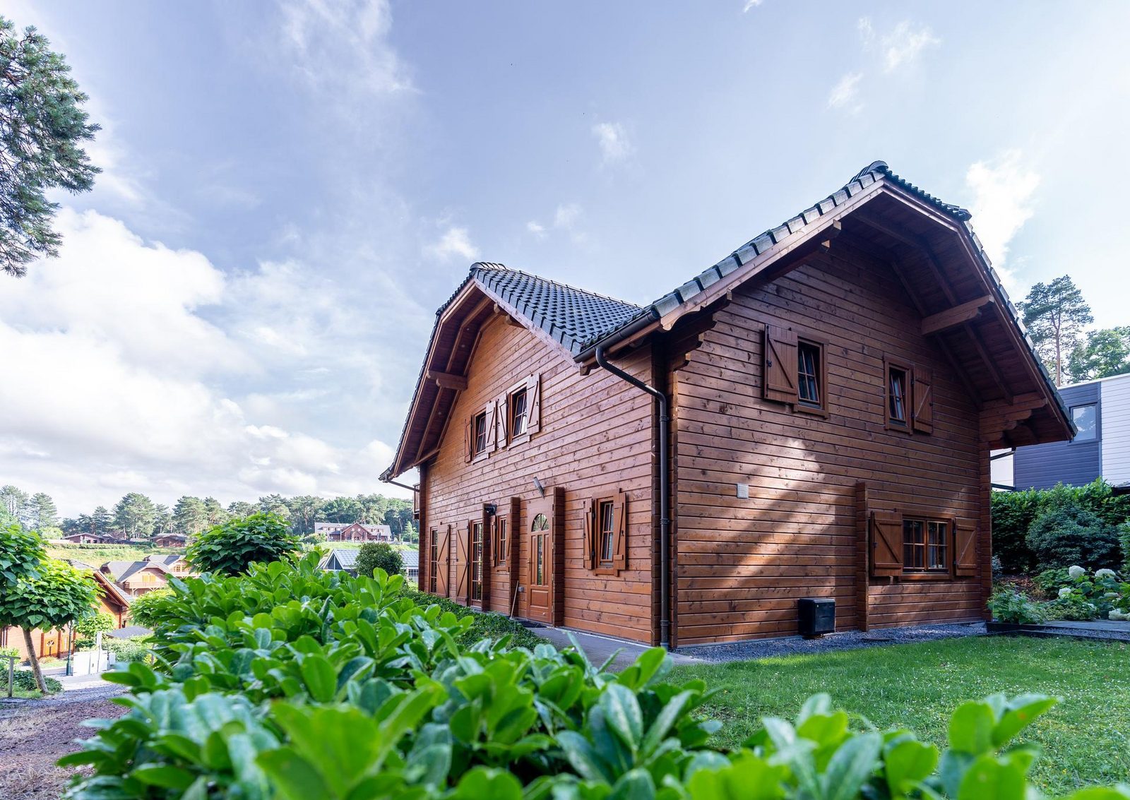 Boekhorst l’etage 12