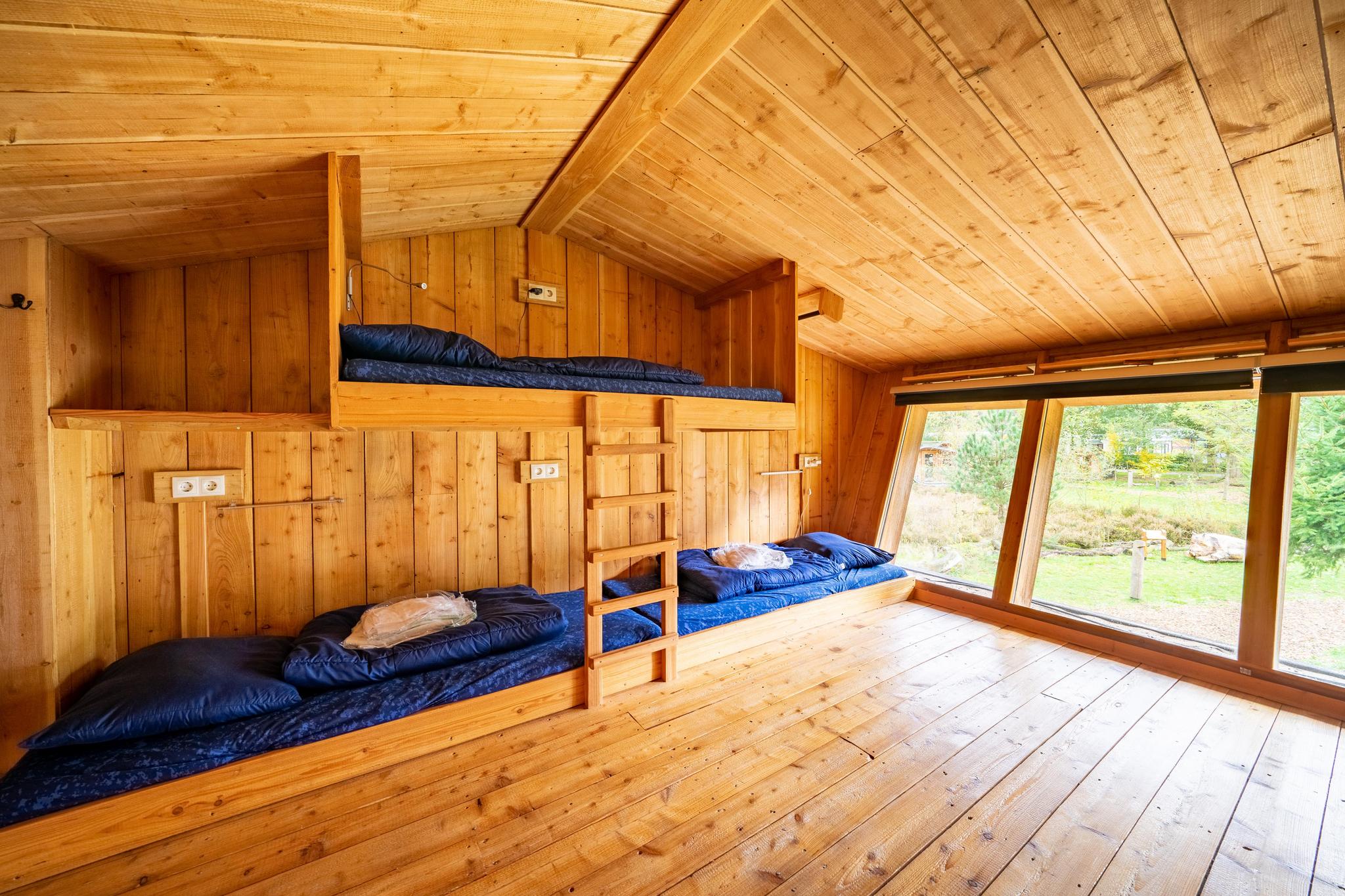 Nature Lodge 8 6