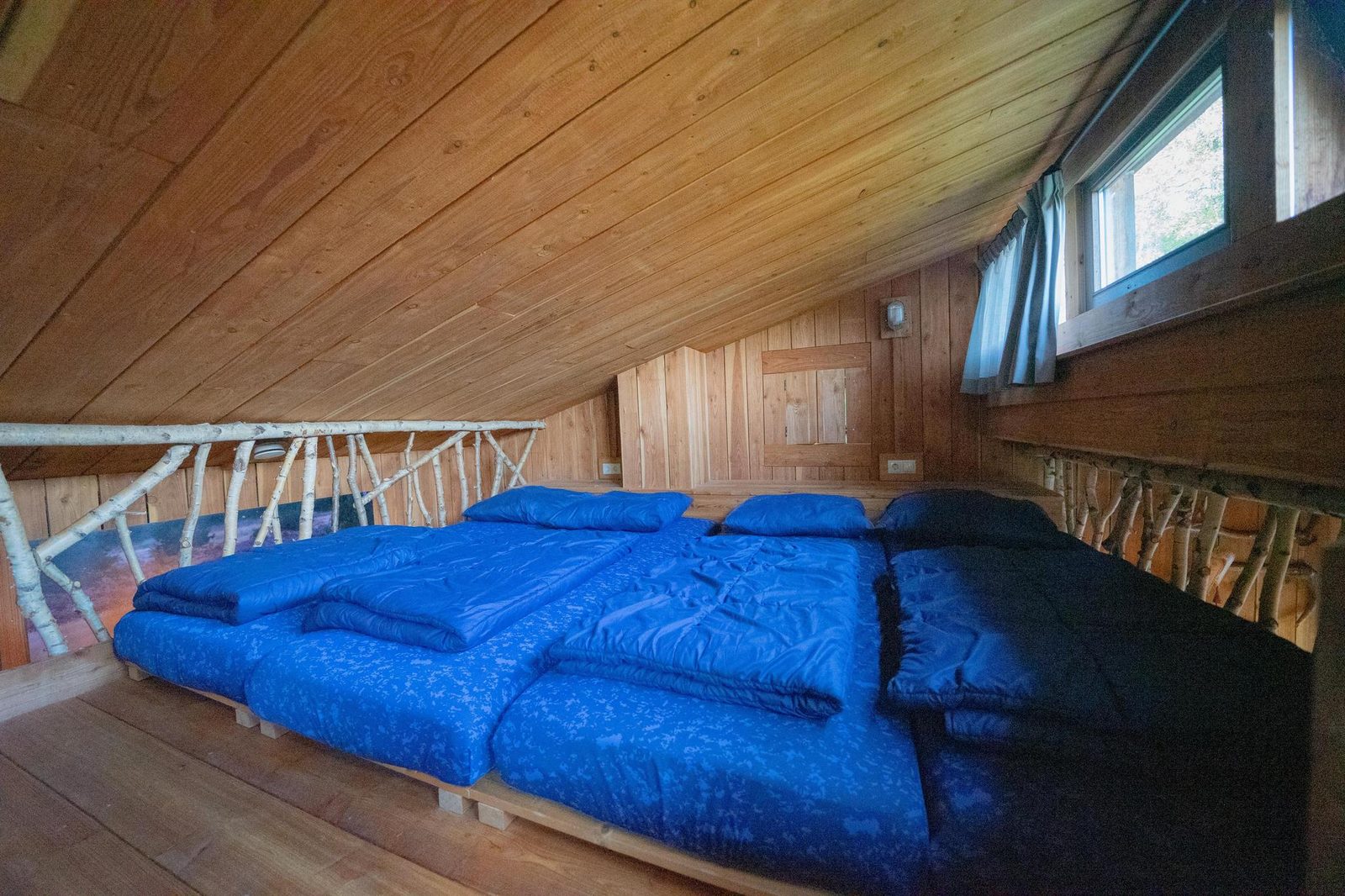 Nature Lodge 6