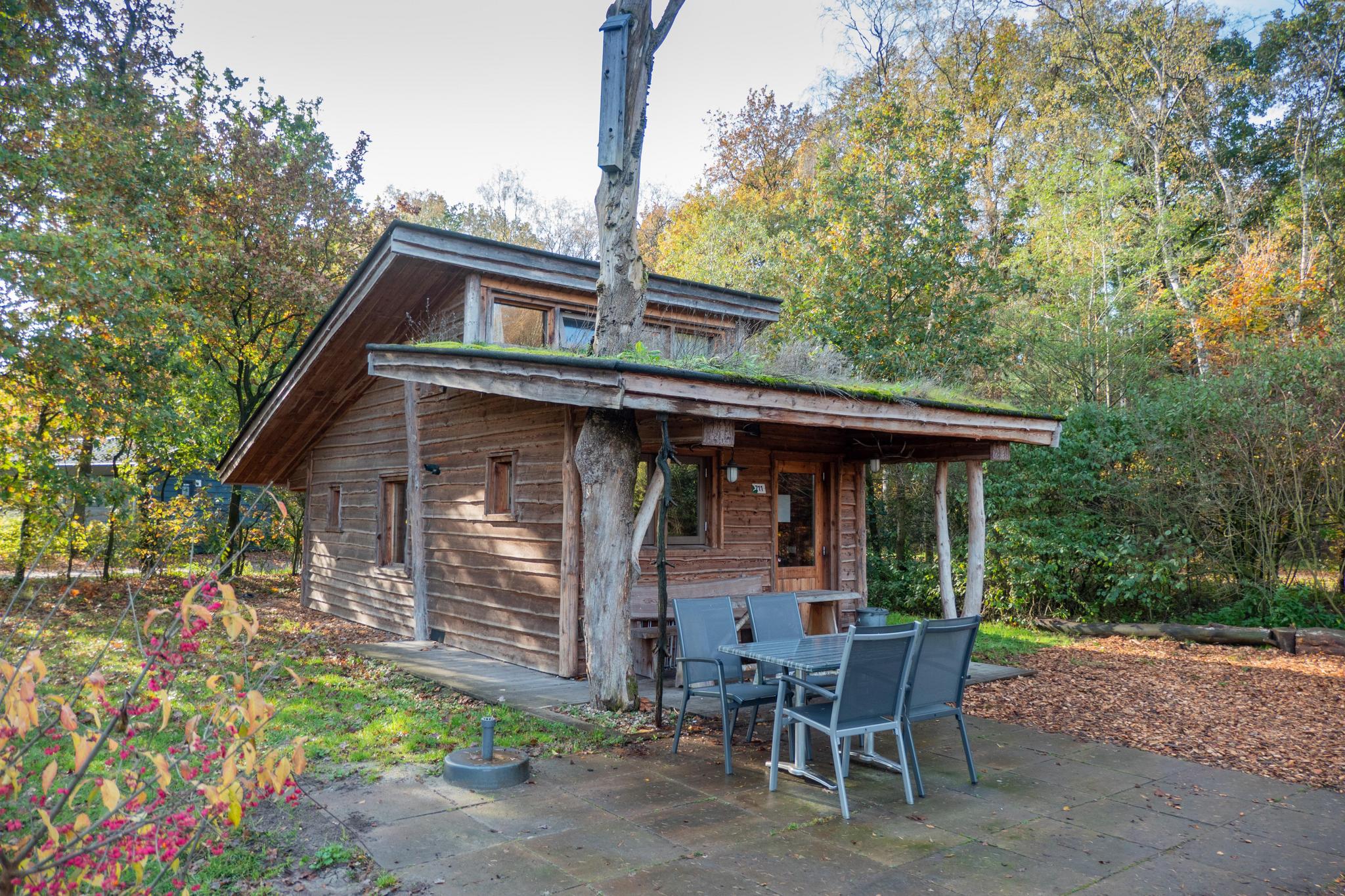 Nature Lodge 6 1