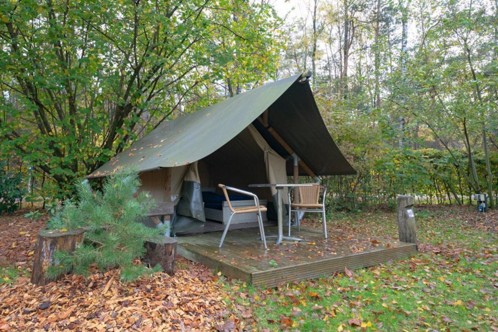 Mini holiday tent 2