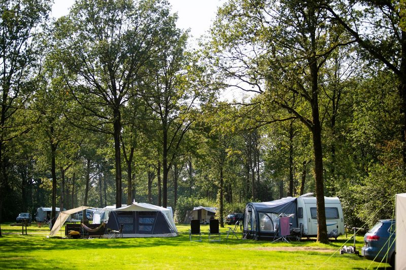 Park Drentheland in Zorgvlied — foto 2