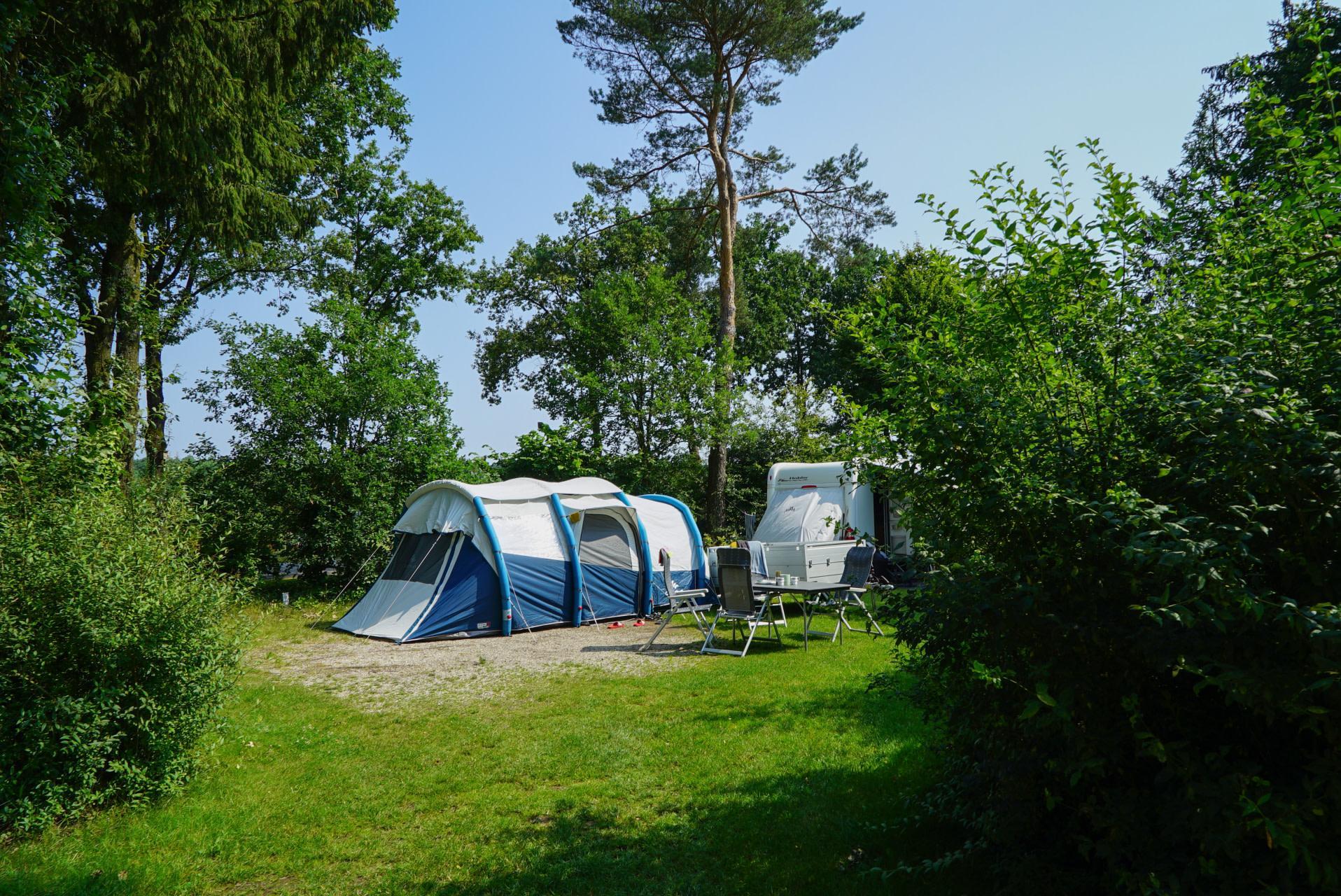 Kampeerplaats Comfort 4