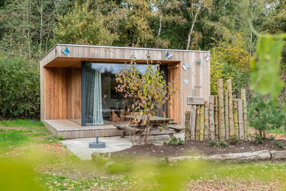 Accommodatie De Wije Werelt - Chalet - Fred 2 - 11