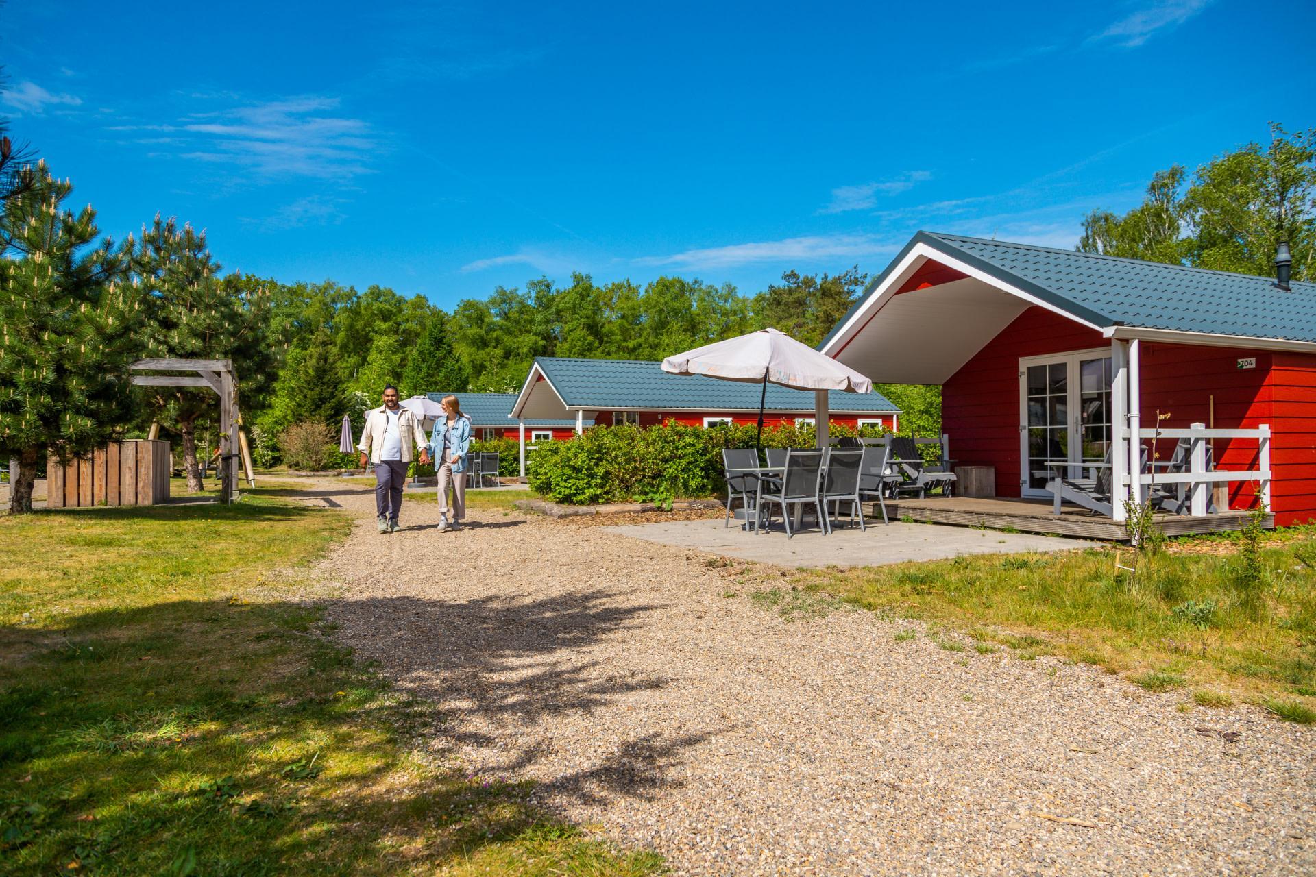 Accommodatie De Wije Werelt - Chalet - Boslodge 4 - 12